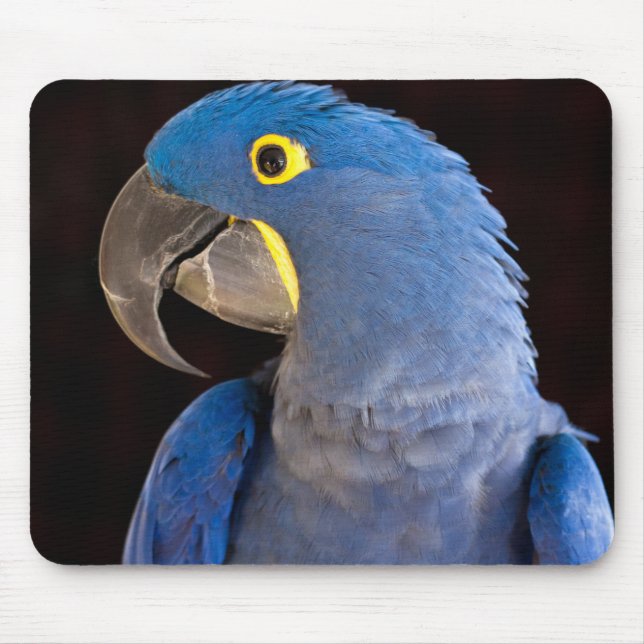 Princesa Tara Mousepad (Frente)