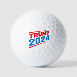 Pro Trump 2024 eleição anti-Biden