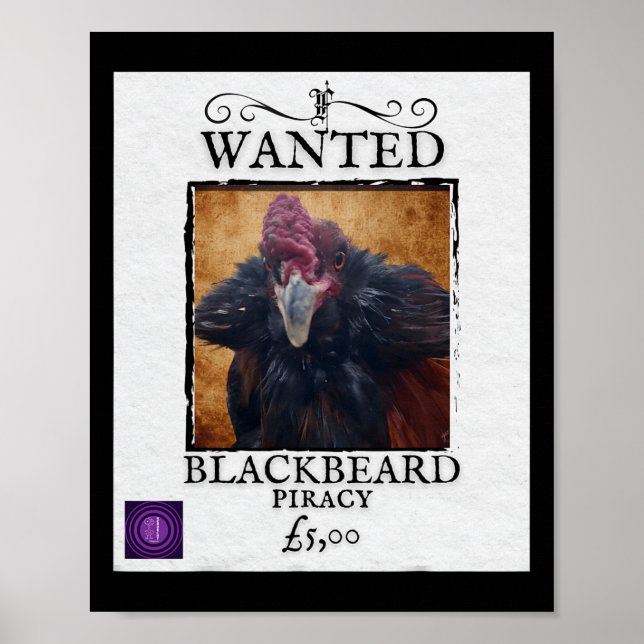 Procurado Blackbeard Frango Poster Pirata Divertid (Frente)