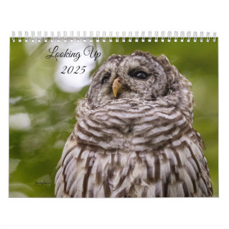 Procurando o Calendário 2025