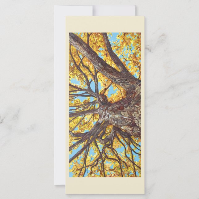 Procurando uma placa simples (Frente)