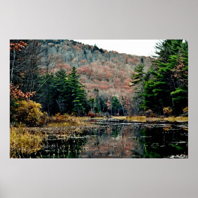 Procurar e encontrar Poster (Frente)