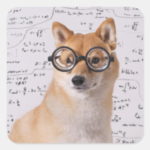 Professor Barkley Quadrado Etiqueta (lustrosa)
