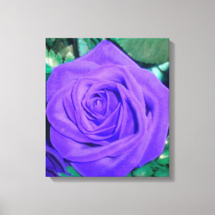 Profundamente - canvas do rosa do roxo