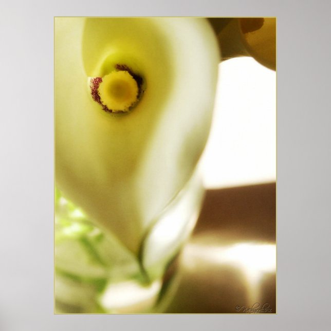 Profundo dentro do Poster (Frente)