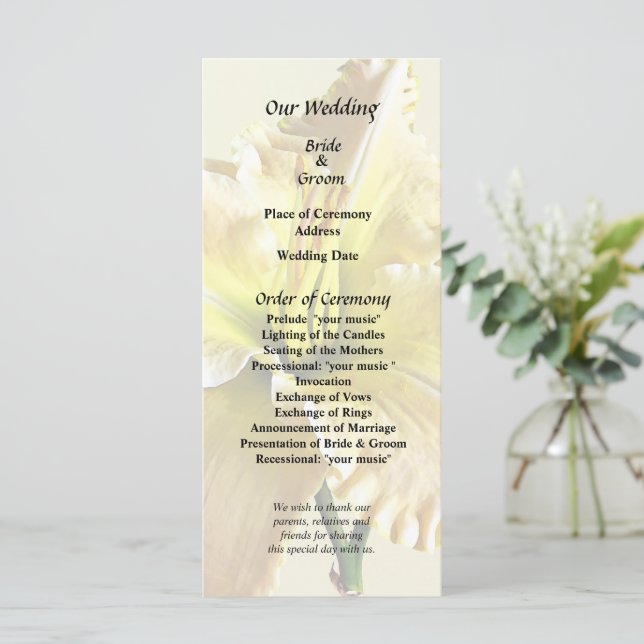 Programa Abastecimentos de Casamento de Lily no Dia Amarelo (Em pé/Frente)