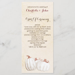 Programa Abóboras brancas fazem campanha de casamento