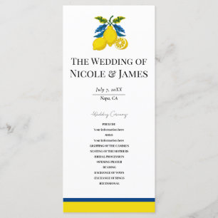 Programa Água de Limão Amarelo Azul Aquarela Casamento Medi