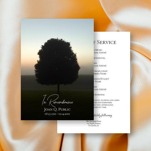 Programa Árvore Natural No Serviço De Memória Funeral Sunri (Criador carregado)