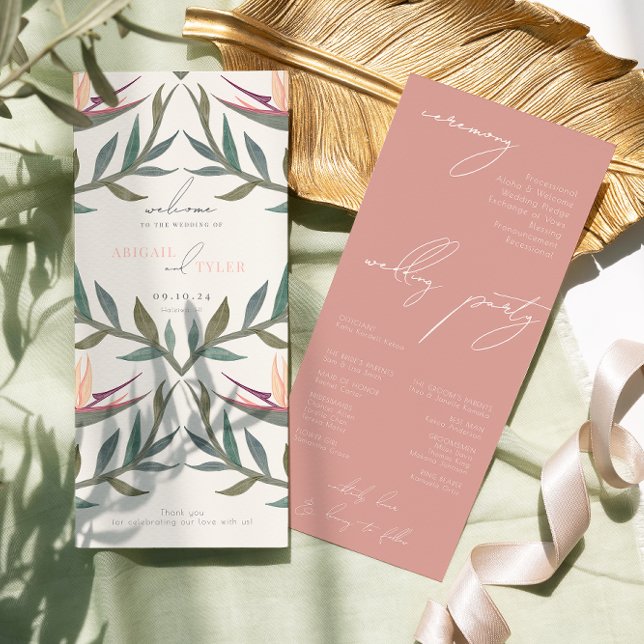 Programa Aves do Paraíso (Criador carregado)