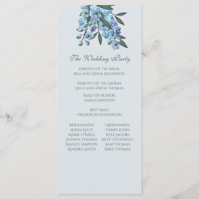 Programa Blue Floral Delphinium (Verso)