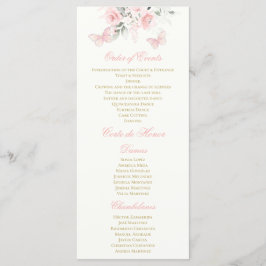 Programa Borboleta Rosa Quinceañera