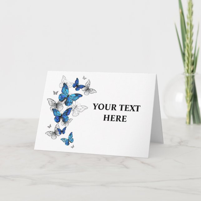 Programa Borboletas Azuis Morpho (Frente)