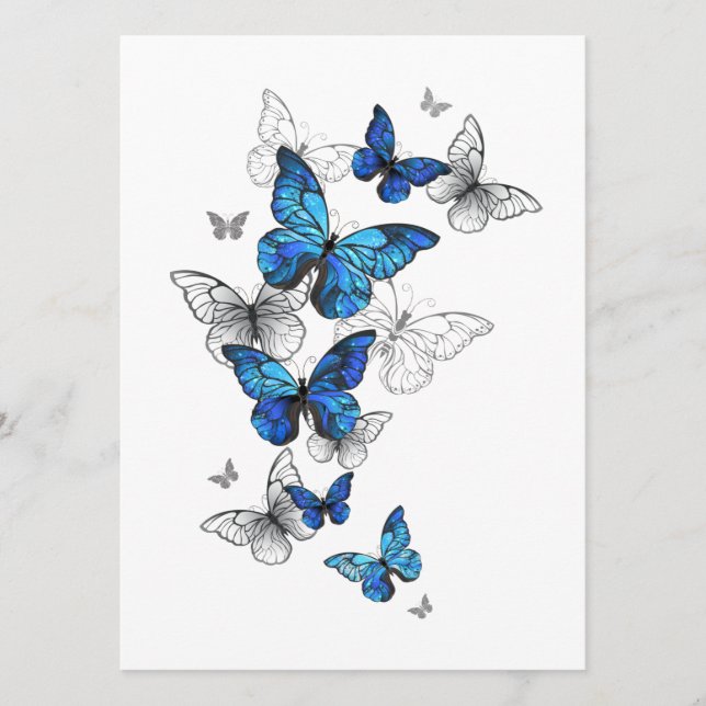Programa Borboletas Azuis Morpho (Frente)