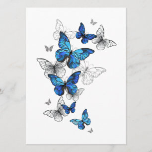 Programa Borboletas Azuis Morpho