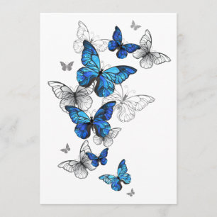 Programa Borboletas Azuis Morpho