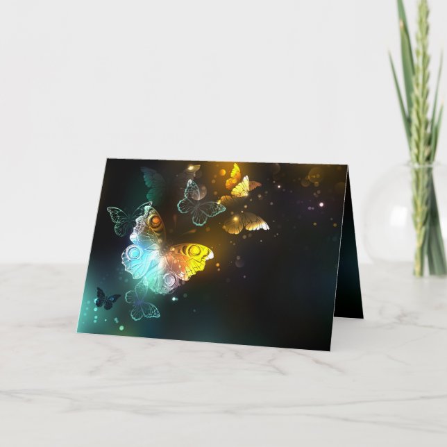 Programa Borboletas luminosas e borboletas noturnas (Frente)