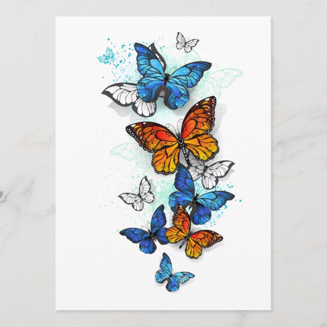 Programa Borboletas voadoras Morpho e Monarca (Frente)