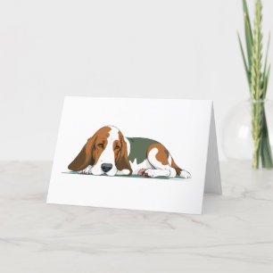 Programa Caça-Cesto Adorável Relaxamento Animal Adorável