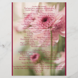 PROGRAMA CAMILLE 18º