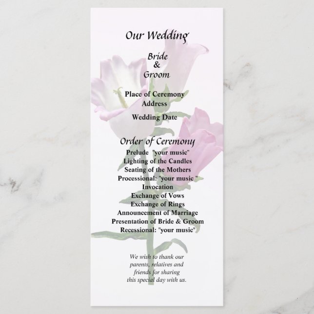 Programa Canterbury Bells Rosa (Frente)