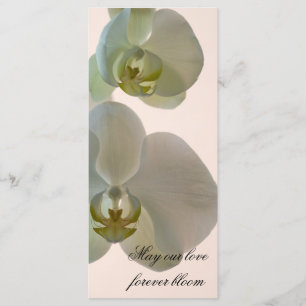 Programa Casamento com Orquídea Branca Elegante