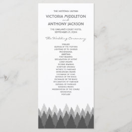 Programa Casamento de Florestas de cinza