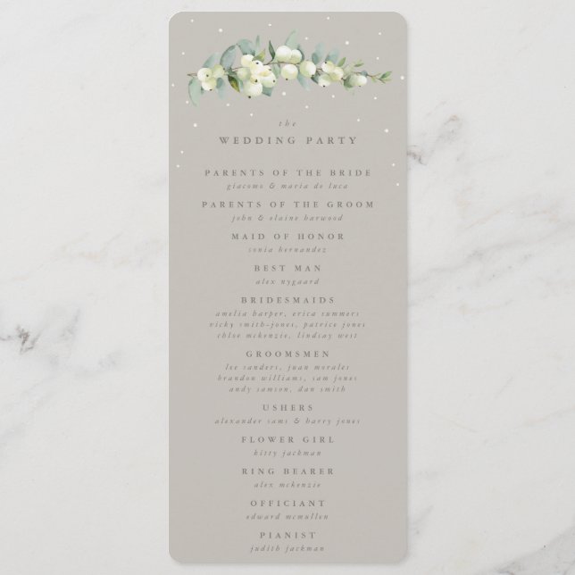 Programa Casamento de Inverno Greige Snowberry+Haste de Euc (Verso)