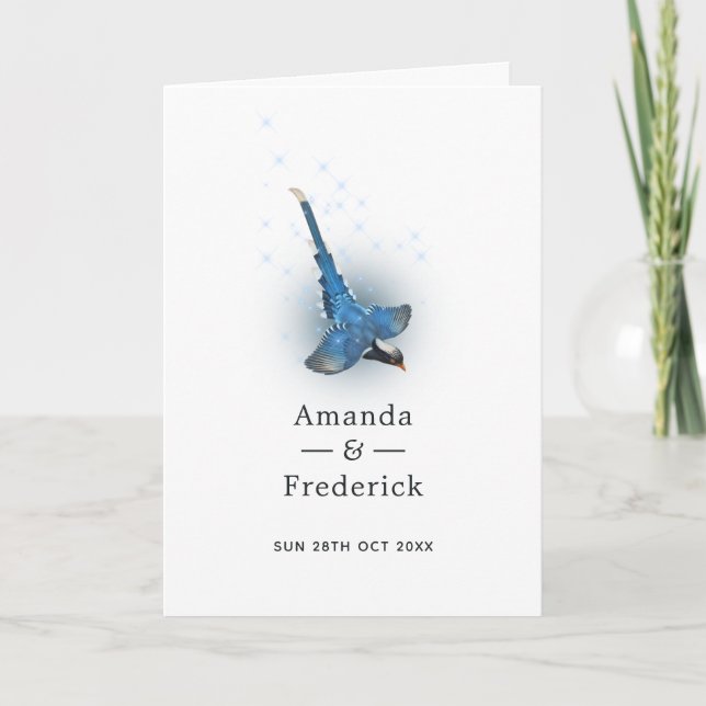 Programa Casamento de Pássaro Fantasia Brilhante (Frente)
