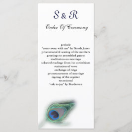 programa Casamento de Pavão