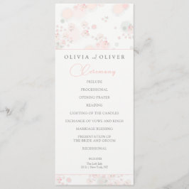 Programa Casamento de Rosas de chá suave