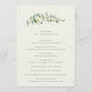 Programa Casamento de Snowberry+Eucalipto em Creme Elegante