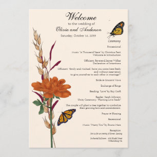 Programa Casamento Floral de Borboleta Monarca Elegante