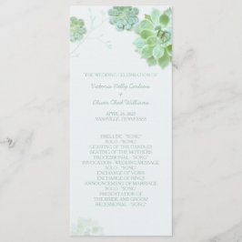 Programa Casamento Moderno de Succulents Cactus