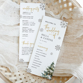 Programa casamento no inverno de Casamento de Nata