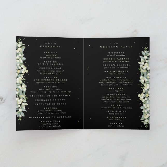 Programa Casamento no inverno Elegante Black Snowberry+Euca (Interior)