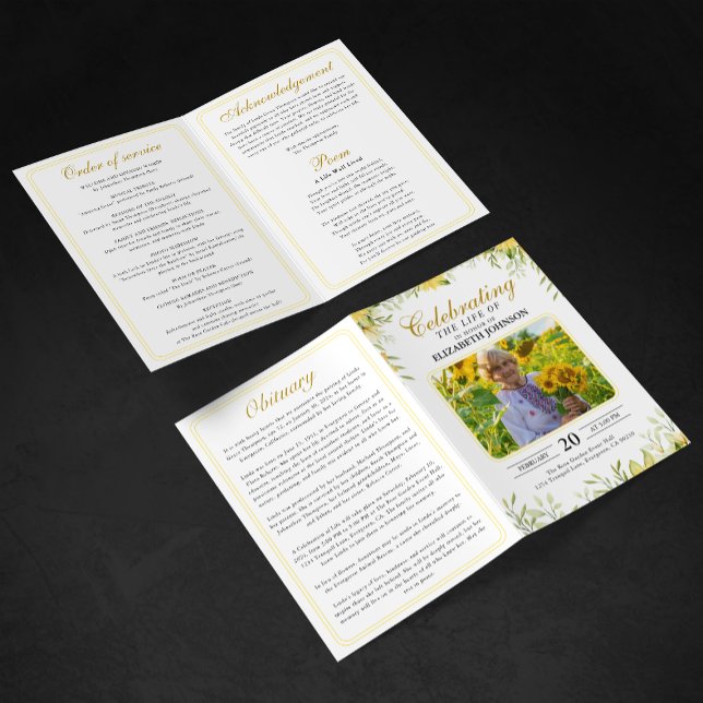 Programa Celebração do Funeral da Vida (Criador carregado)