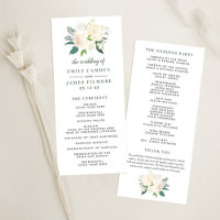 Programa de Folha Única