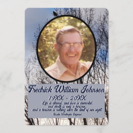 Programa Citando Foto Pine Tree Forest Background Memorial