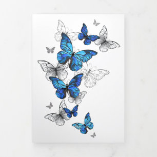 Programa Com Borda Tripla Borboletas Azuis Morpho