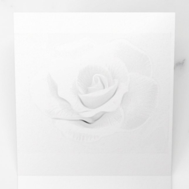 Programa Com Borda Tripla Crie seu próprio - (Dentro primeiro)