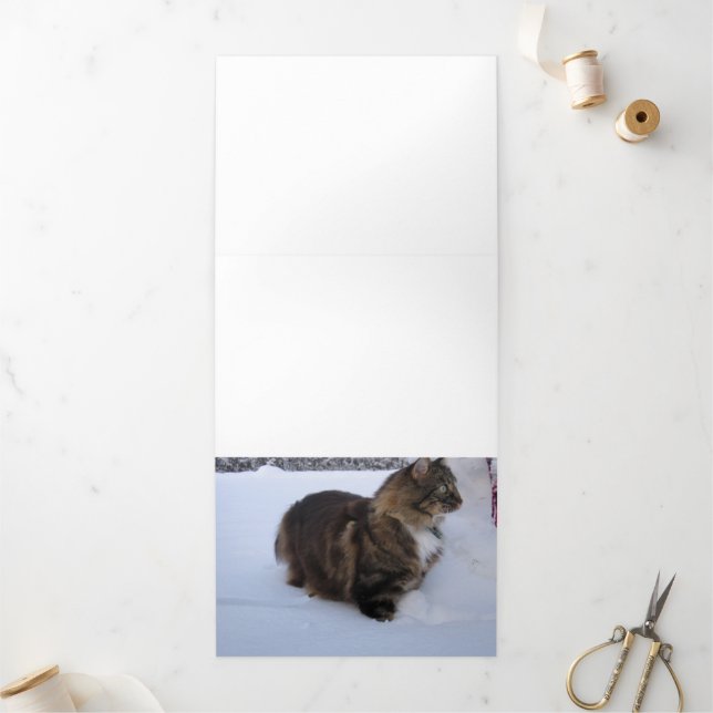 Programa Com Borda Tripla gato floresta norueguesa na neve (Fora)