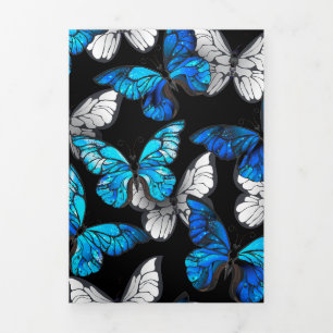 Programa Com Borda Tripla Padrão contínuo escuro com borboletas azuis Morpho