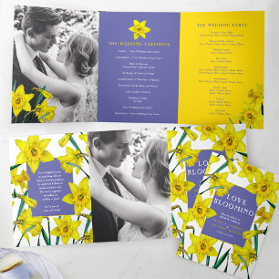 Programa Com Borda Tripla Primavera amarelo daffodils branco muito peri casa