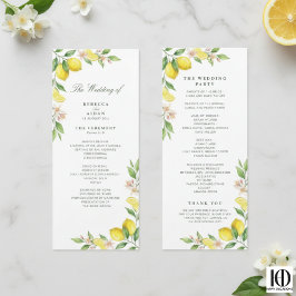 Programa Coroa de Aquarela Casamento Cítrico Mediterrâneo