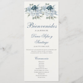 Programa de Casamento Azul em español