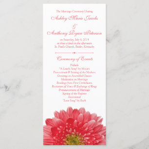 Programa de Casamento Branco Coral Gerbera Daisy