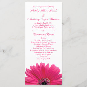 Programa de Casamento Branco de Gerbera Daisy, Ros