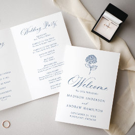 Programa de Casamento Clássico com Hortênsias Azui
