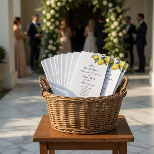 Programa de Casamento com Aquarela de Limão Medi